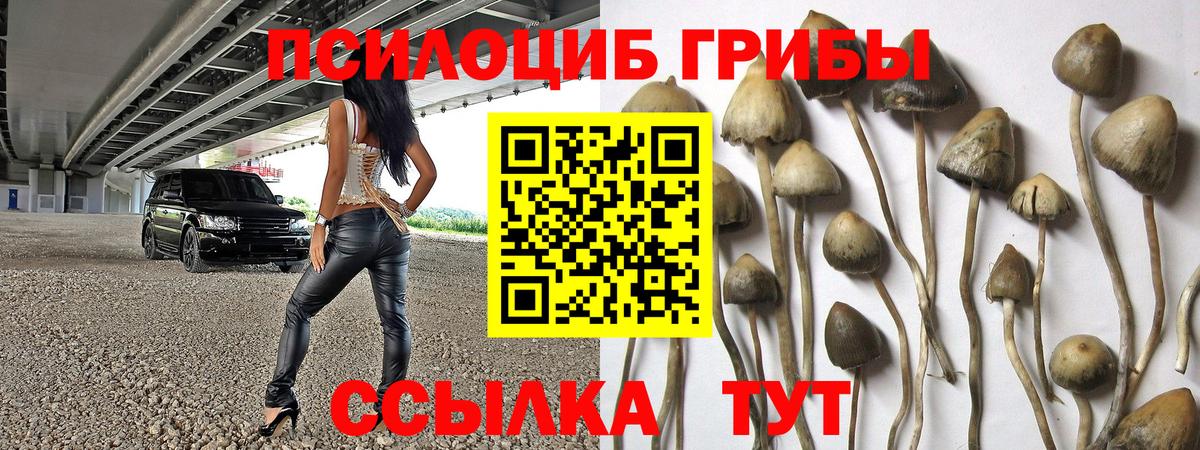 Галлюциногенные грибы прущие грибы Печора