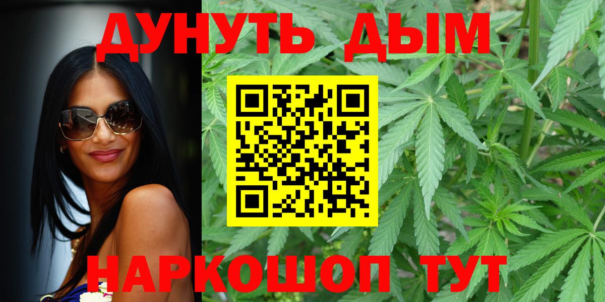 Бошки Шишки планчик Печора